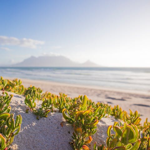 Stroll over to nearby Lagoon Beach and run into the Atlantic Ocean