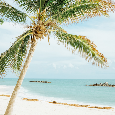Sunbathe on the white sand beaches of Key West