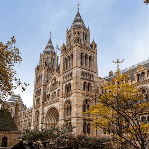 Spend an afternoon exploring South Kensington's museums – the Natural History Museum is a ten-minute walk away