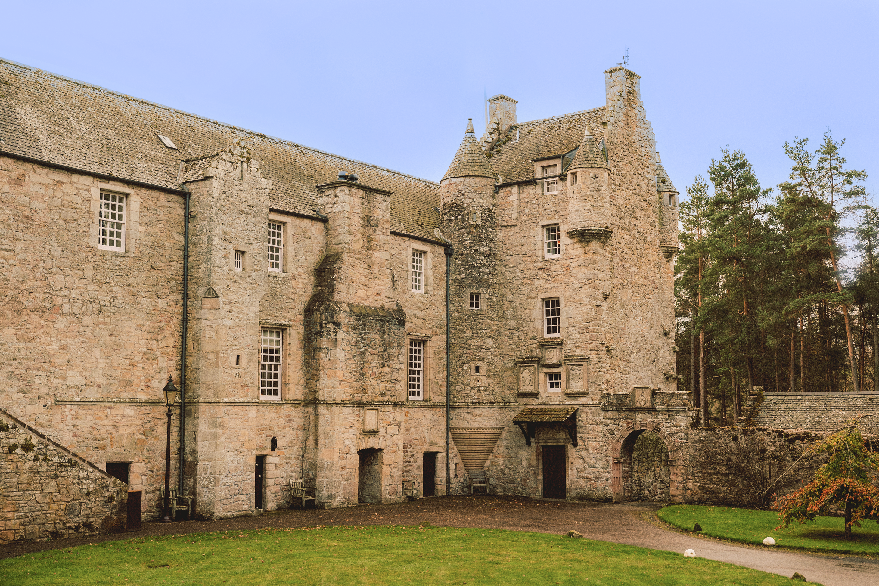 Fortress in the Ferns