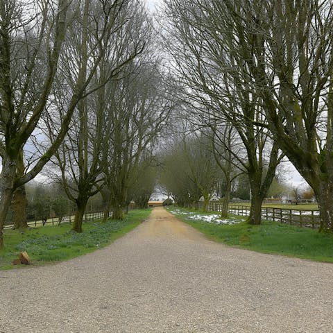 Explore the manor grounds at leisure