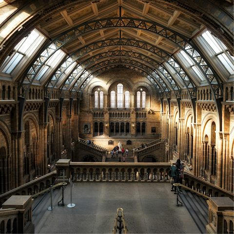 Explore the Natural History Museum, minutes from your door