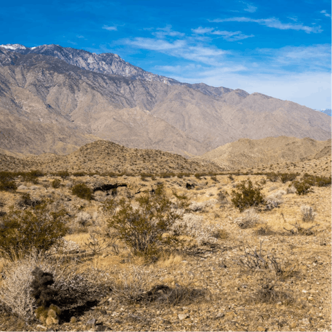 Drive to the Indian Canyons in fifteen minutes for hiking in the wilderness