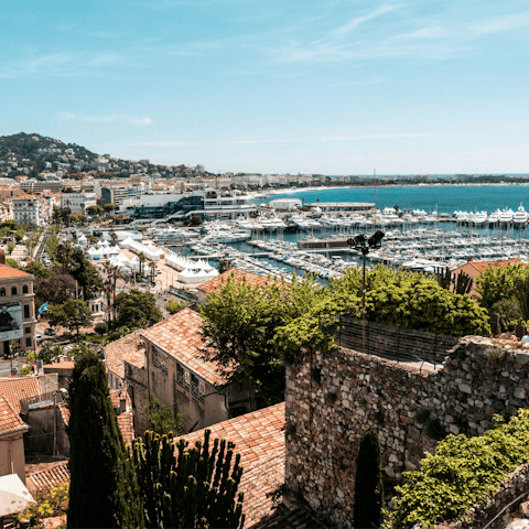 Embrace the magic of France while exploring Cannes