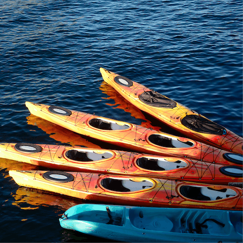 Go kayaking on the property's ponds with equipment supplied by the host