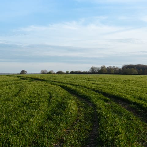 Discover the stunning Kent countryside and the local area of Tunbridge Wells