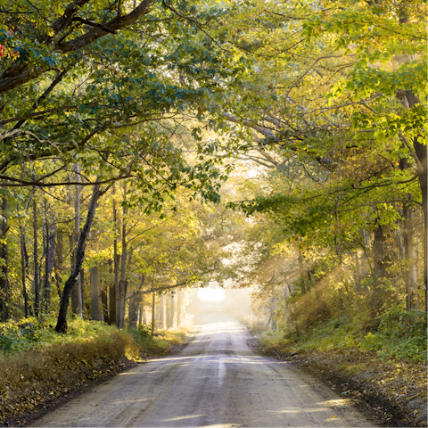Explore the Forest of Dean on foot or by bike – this is a great outdoorsy location
