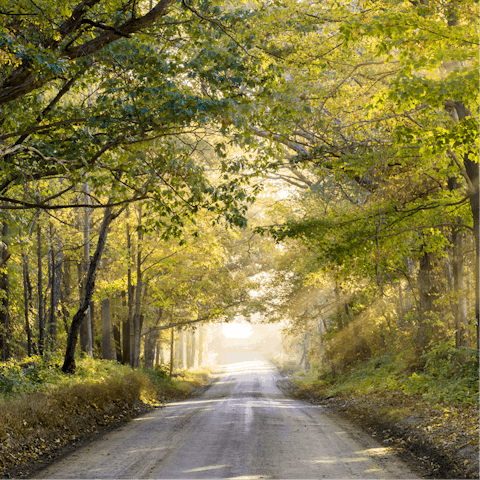 Explore the Forest of Dean on foot or by bike – this is a great outdoorsy location