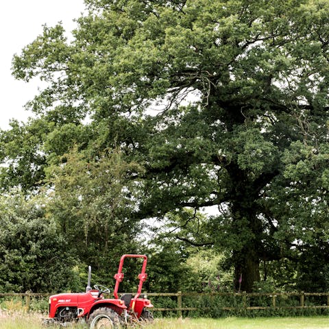 Enjoy long walks in the countryside, followed by a meal and a pint in one of the village pubs