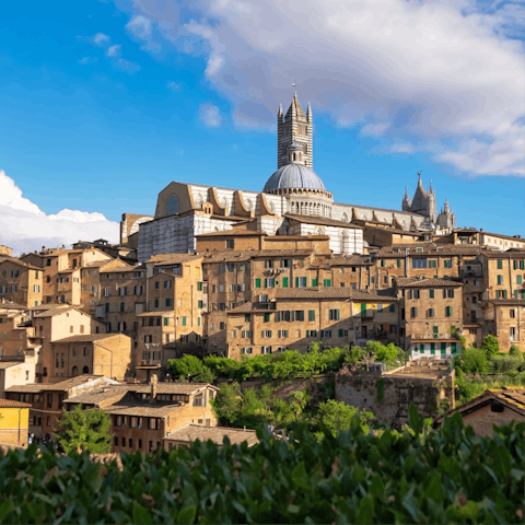 Visit the mediaeval city of Siena, a thirty-minute drive away