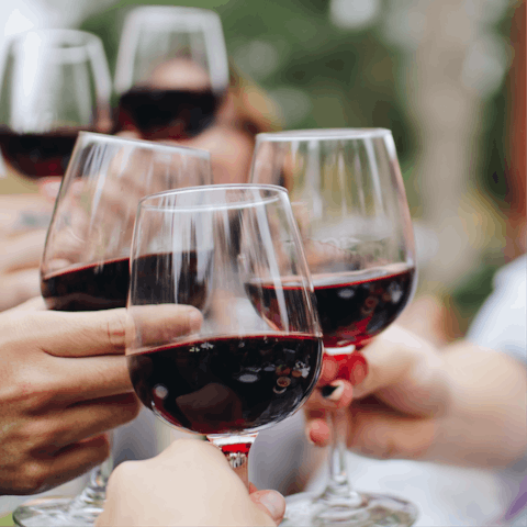 Sample the local Provence wines with a tour of one of the local vineyards