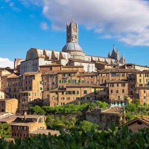 Take a day trip to spectacular Siena – only a sixty–minute drive away