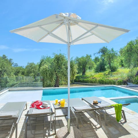 Relax by the pool overlooking the olive trees