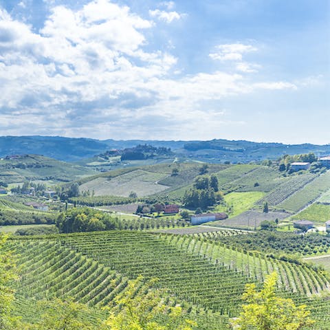 Explore the beautiful Piedmont region from your position in Serracapelli