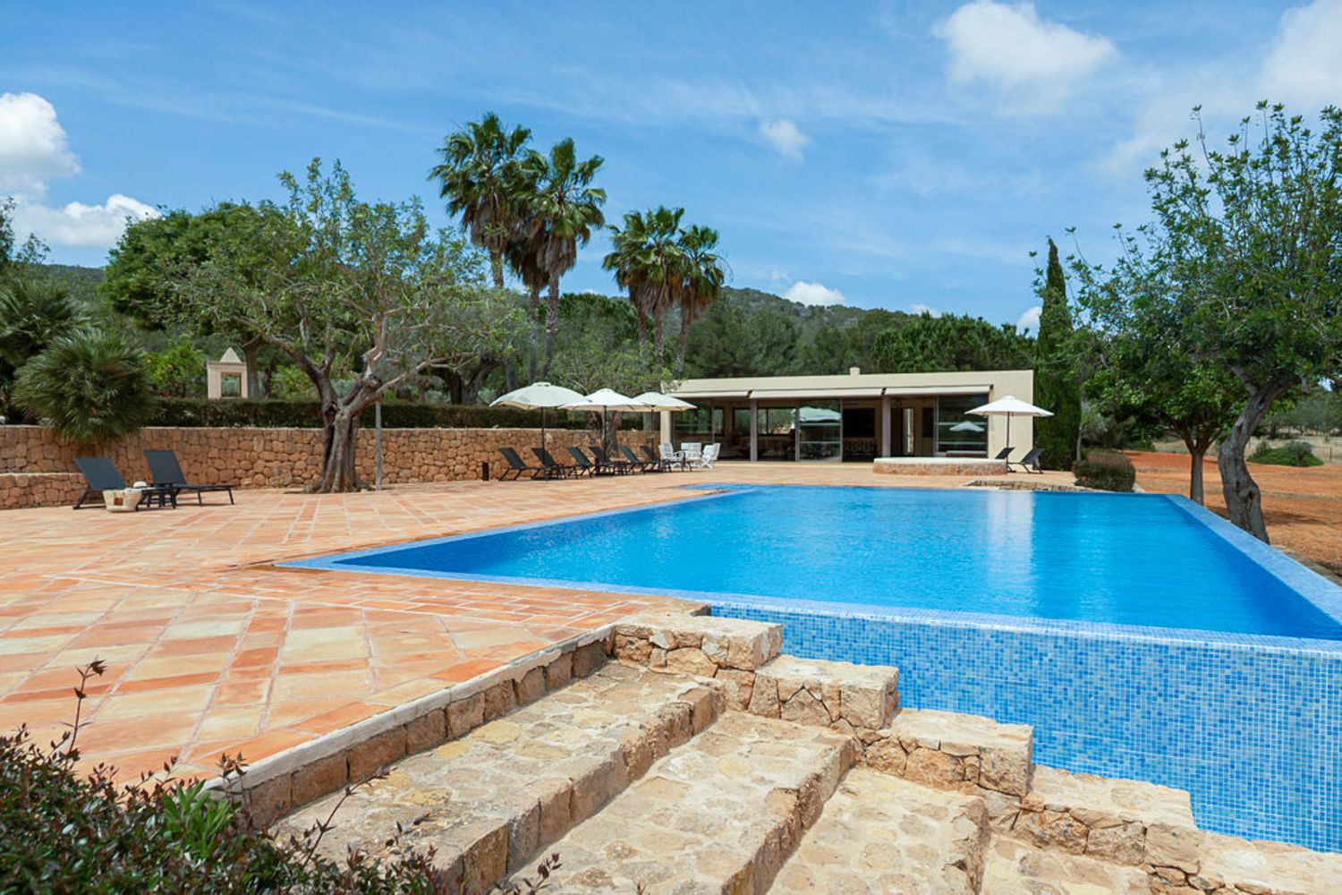 Campo de Luz