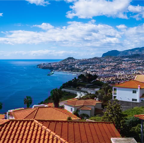 Explore Madeira from this central location near Funchal's promenade