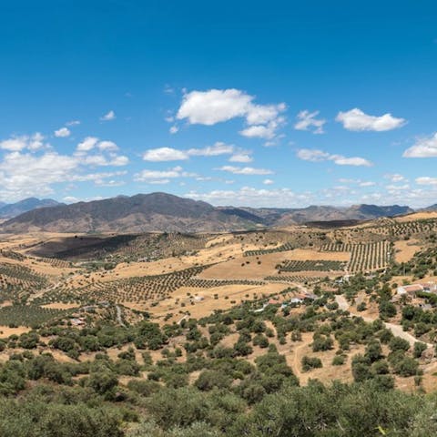 Immerse yourself in the rural beauty of the Guadalhorce Valley