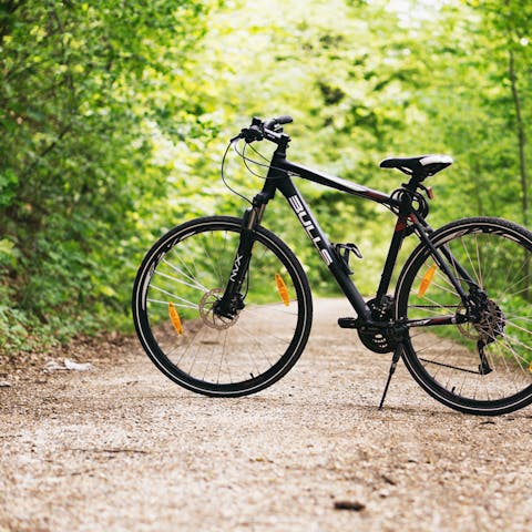 Pedal along the Tarka Trail