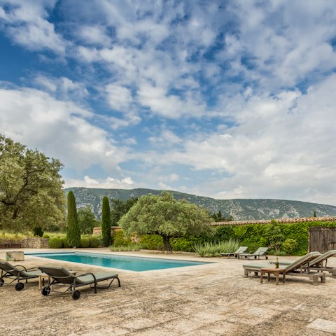 Relax by the pool – there's plenty of room for everyone