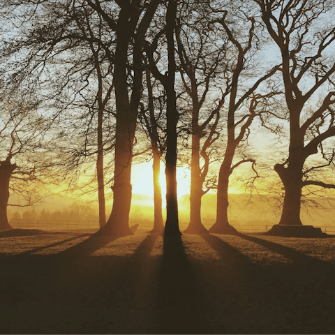 Put on your hiking boots and explore the Cotswolds countryside