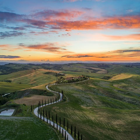 Explore the verdant landscapes throughout Tuscany