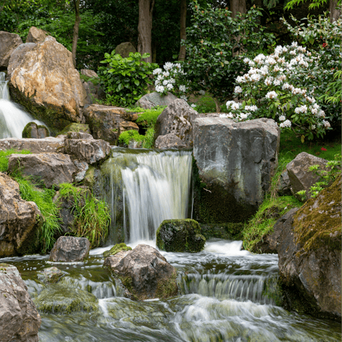 Find peace and harmony while exploring Holland Park