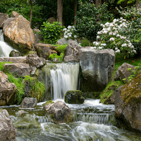 Find peace and harmony while exploring Holland Park