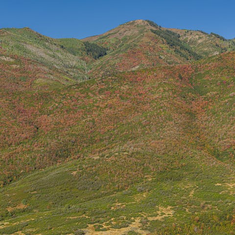 Explore the iconic peaks with skiing in the winter and hiking in the summer