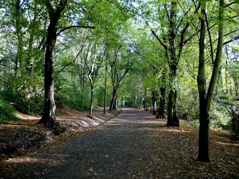 Roam Hampstead Heath, just a ten-minute drive away
