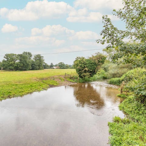 Explore the 1.5 acre grounds, watching the swans on the Blackwater River that flows through the property