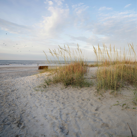 Embrace a refreshing coastal escape in Forest Beach