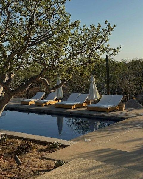 Savour relaxing sessions in the pool and on a sun lounger