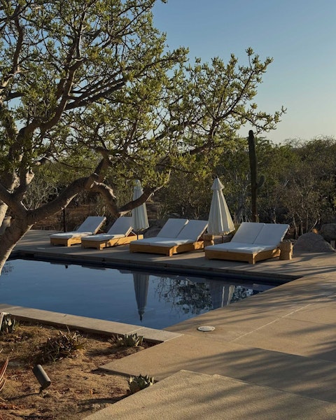Savour relaxing sessions in the pool and on a sun lounger