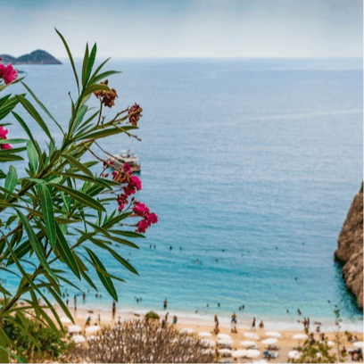 Spend the day at the beach club, a short walk away