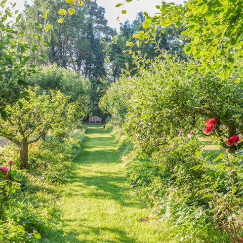 Admire pretty views from the delightful garden