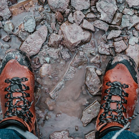 Walk or cycle the nine miles of path from Tahoma to Tahoe City