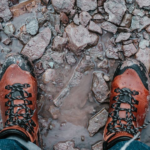 Walk or cycle the nine miles of path from Tahoma to Tahoe City