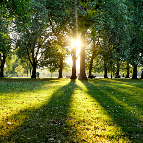 Soak up the magic of London while walking through Hyde Park
