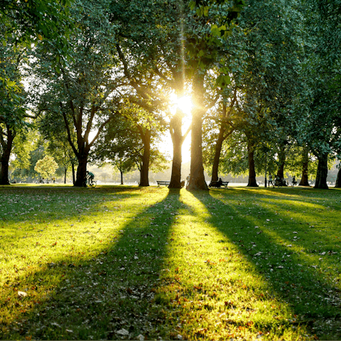 Soak up the magic of London while walking through Hyde Park