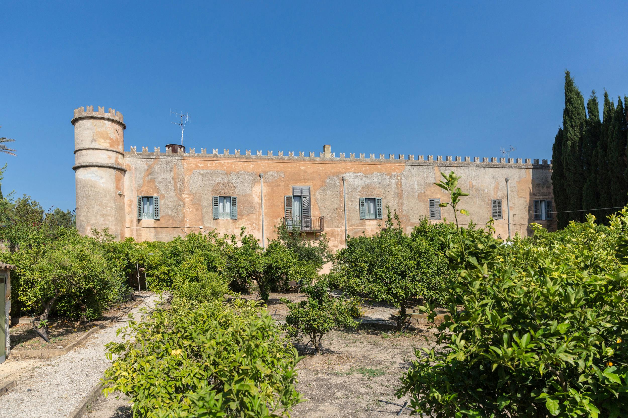 Castles & Olive Groves