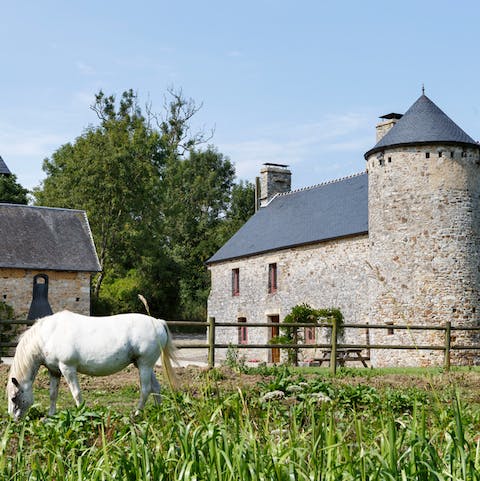 Stay in a gorgeous castle