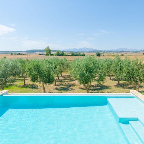 Take a dip in the private saltwater pool in the afternoon