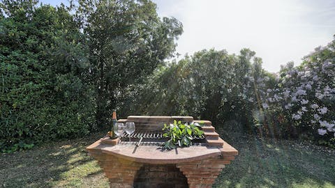 Fire up the barbecue for a dinnertime feast