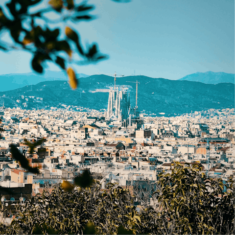 Discover Barcelona from your convenient base in the city's Gothic Quarter