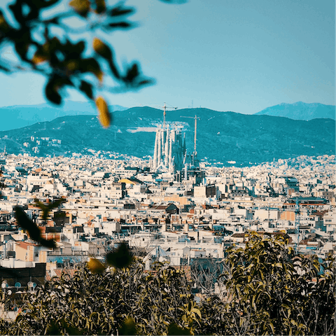 Discover Barcelona from your convenient base in the city's Gothic Quarter