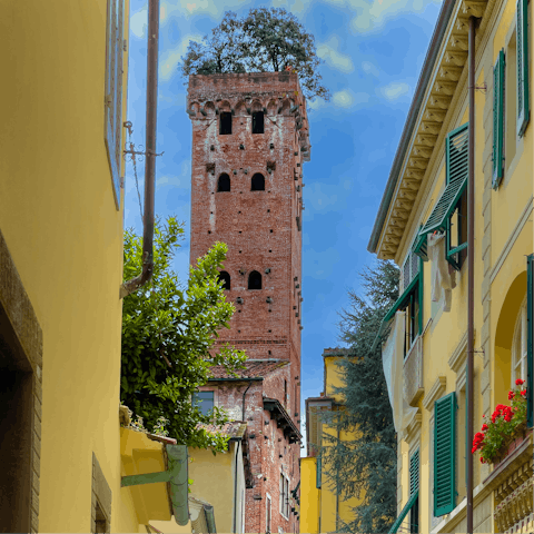 Drive into Lucca and visit Guinigi Tower with trees growing on top