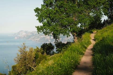 Trek dramatic Amalfi Coast trails offering sweeping sea and mountain vistas
