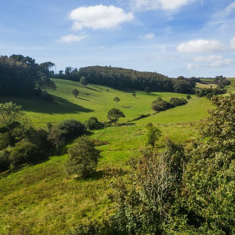 Go for a ramble around the estate's stunning grounds