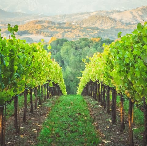 Stay just a few minutes' drive from Healdsburg, in the heart of the beautiful Wine Country