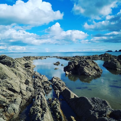 Explore the rock pools of Saundersfoot Beach, less than a ten-minute walk away
